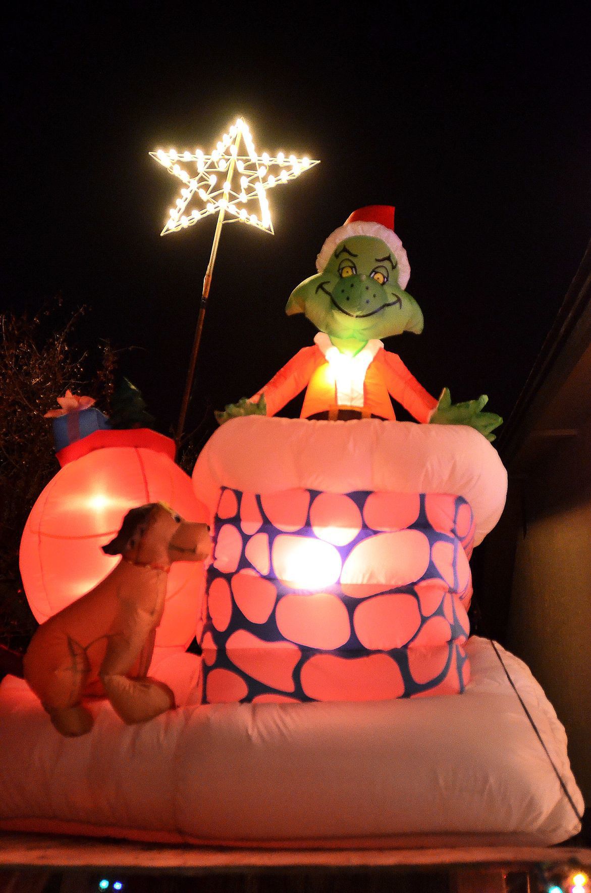 Napa Christmas lights